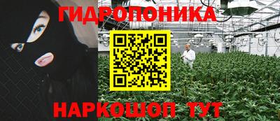 хмурый Тара